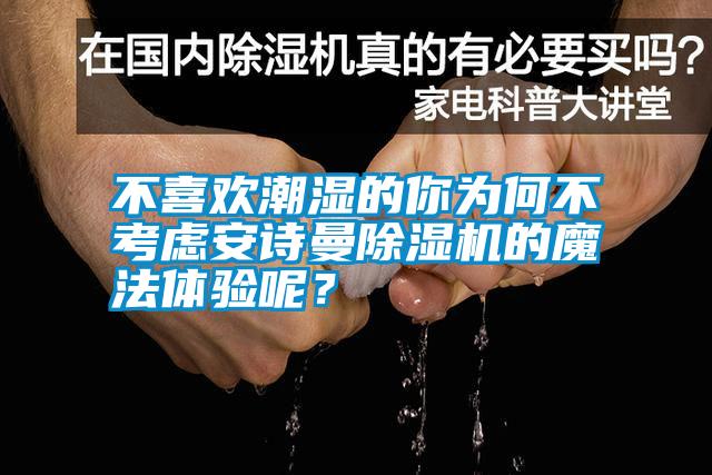 不喜欢潮湿的你为何不考虑安诗曼除湿机的魔法体验呢？