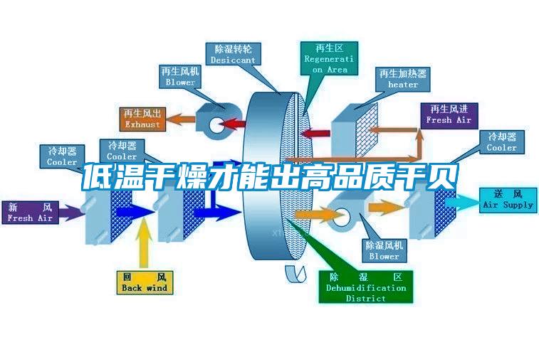 低温干燥才能出高品质干贝