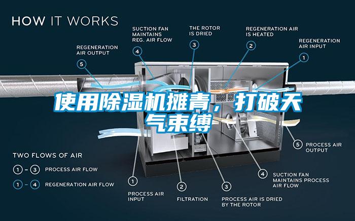 使用除湿机摊青，打破天气束缚