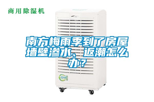 南方梅雨季到了房屋墙壁渗水、返潮怎么办？