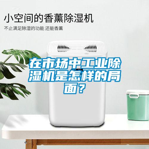 在市场中工业除湿机是怎样的局面？