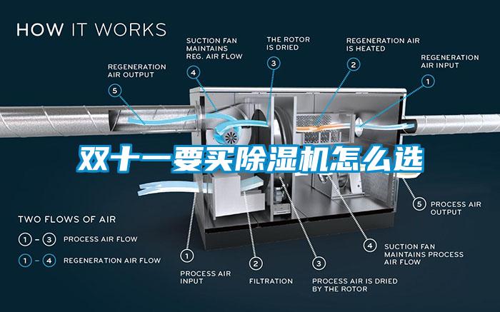 双十一要买除湿机怎么选