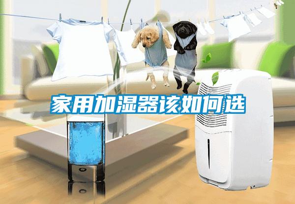 家用加湿器该如何选