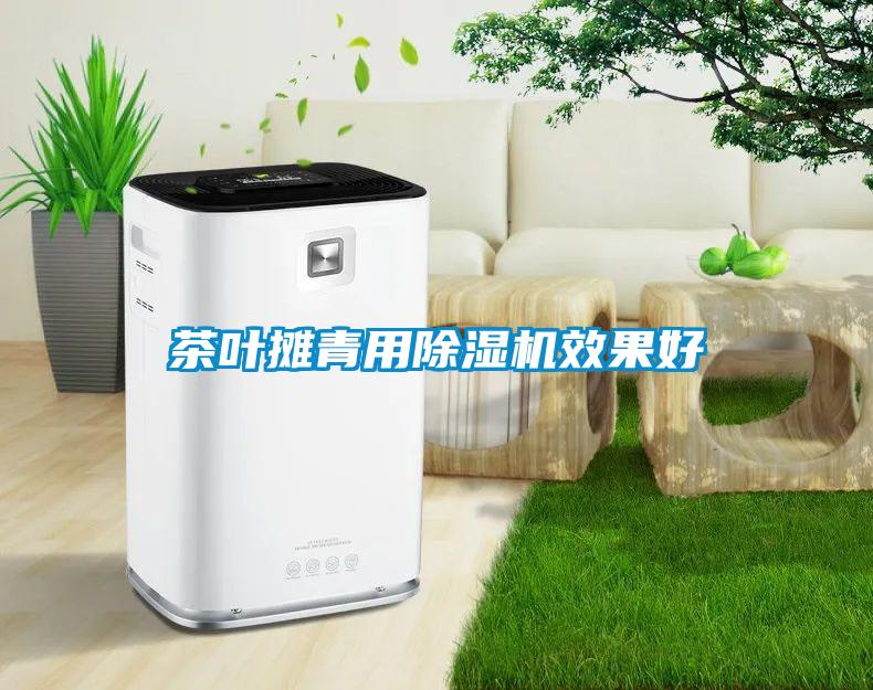 茶叶摊青用除湿机效果好