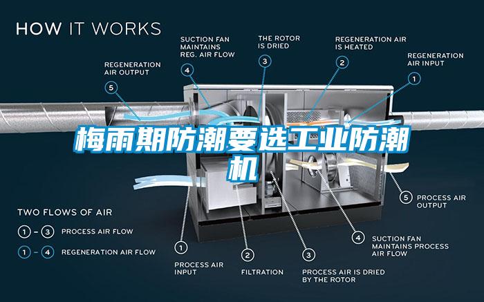 梅雨期防潮要选工业防潮机