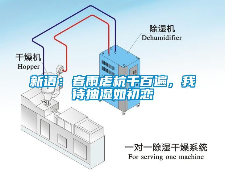 新语：春雨虐杭千百遍，我待抽湿如初恋