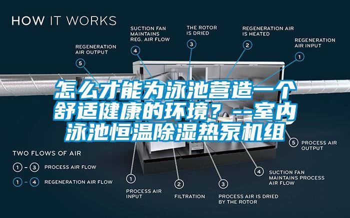 怎么才能为泳池营造一个舒适健康的环境？--室内泳池恒温除湿热泵机组