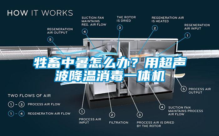 牲畜中暑怎么办？用超声波降温消毒一体机