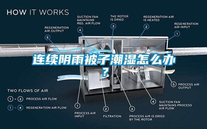 连续阴雨被子潮湿怎么办？