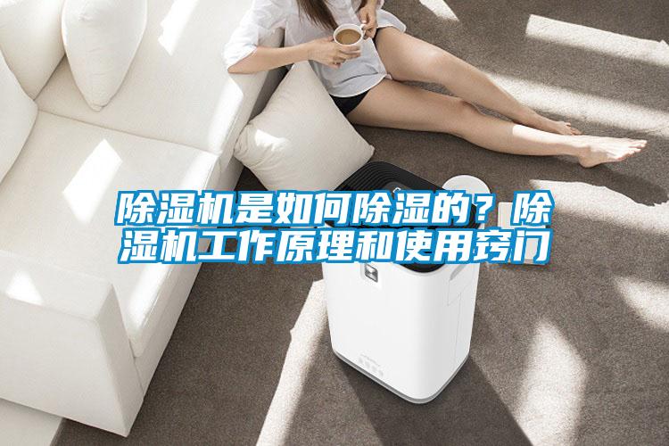 除湿机是如何除湿的？除湿机工作原理和使用窍门