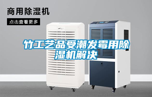 竹工艺品受潮发霉用除湿机解决