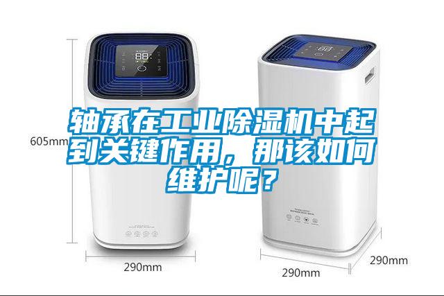 轴承在工业除湿机中起到关键作用，那该如何维护呢？