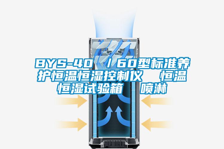 BYS-40 ／60型标准养护恒温恒湿控制仪  恒温恒湿试验箱  喷淋