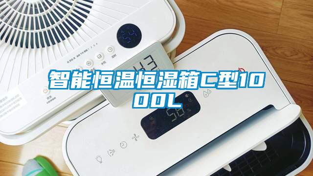 智能恒温恒湿箱C型1000L