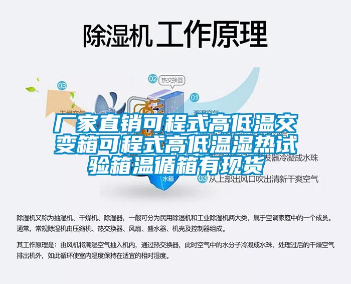 厂家直销可程式高低温交变箱可程式高低温湿热试验箱温循箱有现货