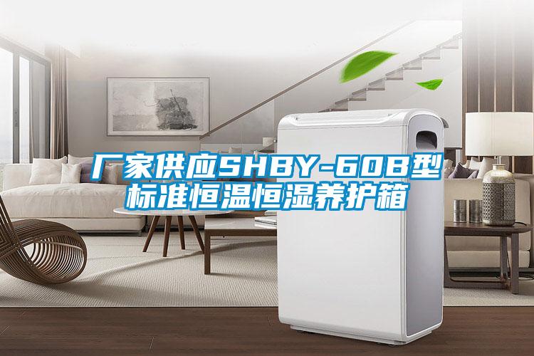 厂家供应SHBY-60B型标准恒温恒湿养护箱