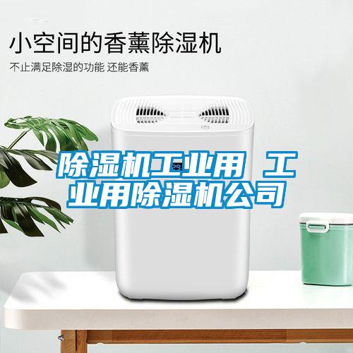 除湿机工业用 工业用除湿机公司