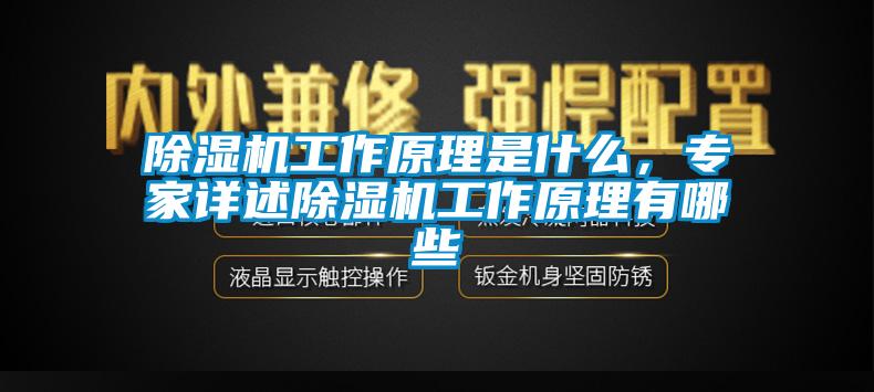 除湿机工作原理是什么，专家详述除湿机工作原理有哪些