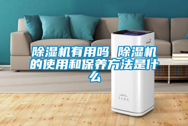 除湿机有用吗 除湿机的使用和保养方法是什么