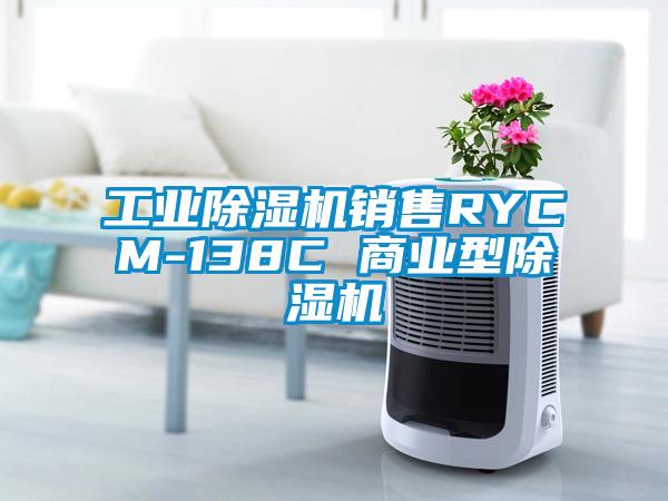 工业除湿机销售RYCM-138C 商业型除湿机