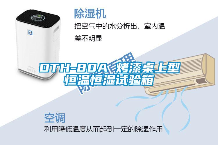 DTH-80A 烤漆桌上型恒温恒湿试验箱