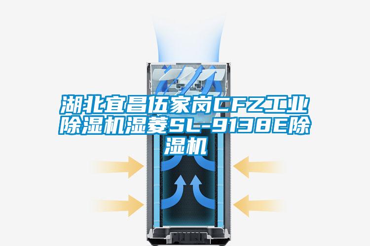 湖北宜昌伍家岗CFZ工业除湿机湿菱SL-9138E除湿机