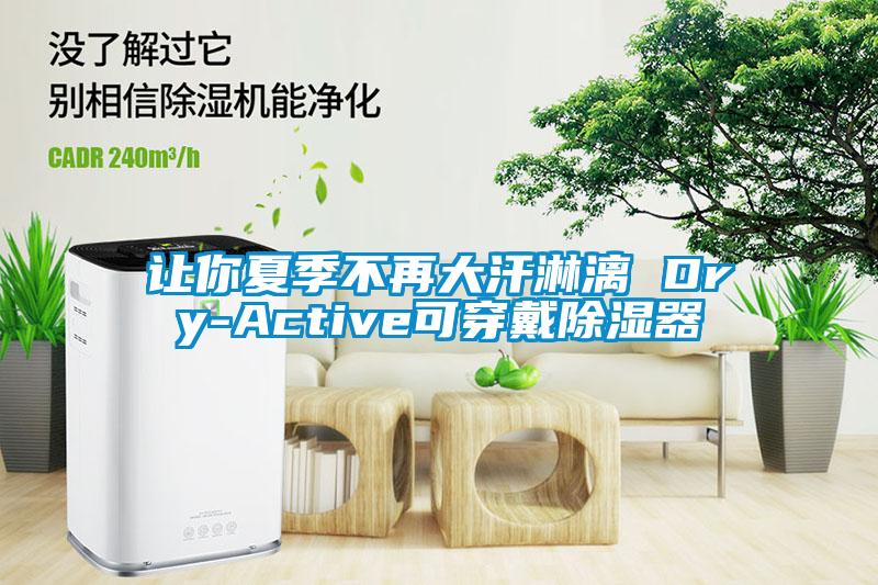 让你夏季不再大汗淋漓 Dry-Active可穿戴除湿器