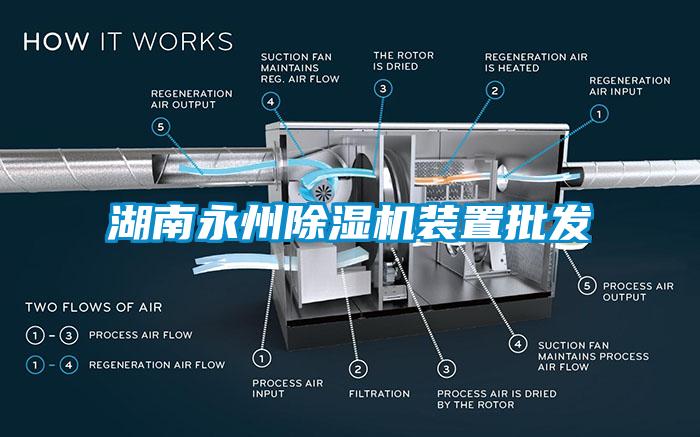 湖南永州除湿机装置批发