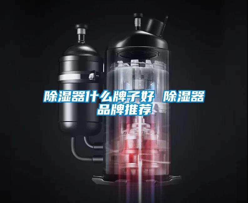 除湿器什么牌子好 除湿器品牌推荐