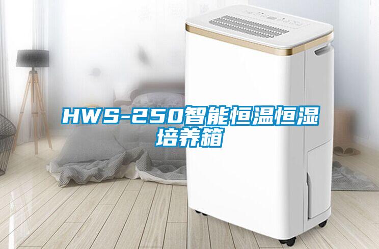 HWS-250智能恒温恒湿培养箱