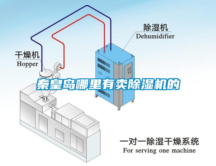 秦皇岛哪里有卖除湿机的