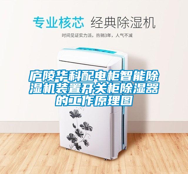 庐陵华科配电柜智能除湿机装置开关柜除湿器的工作原理图