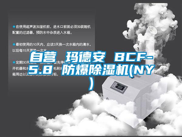 自营 玛德安 BCF-5.8 防爆除湿机(NY)