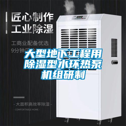 大型地下工程用除湿型水环热泵机组研制