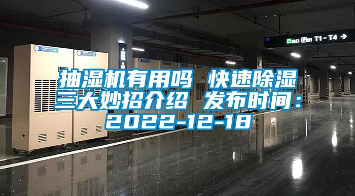 抽湿机有用吗 快速除湿三大妙招介绍 发布时间：2022-12-18