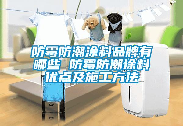 防霉防潮涂料品牌有哪些 防霉防潮涂料优点及施工方法