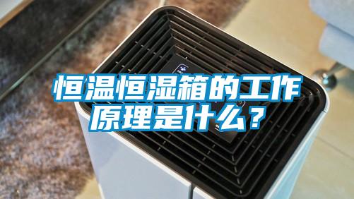 恒温恒湿箱的工作原理是什么？