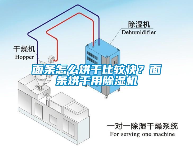 面条怎么烘干比较快？面条烘干用除湿机