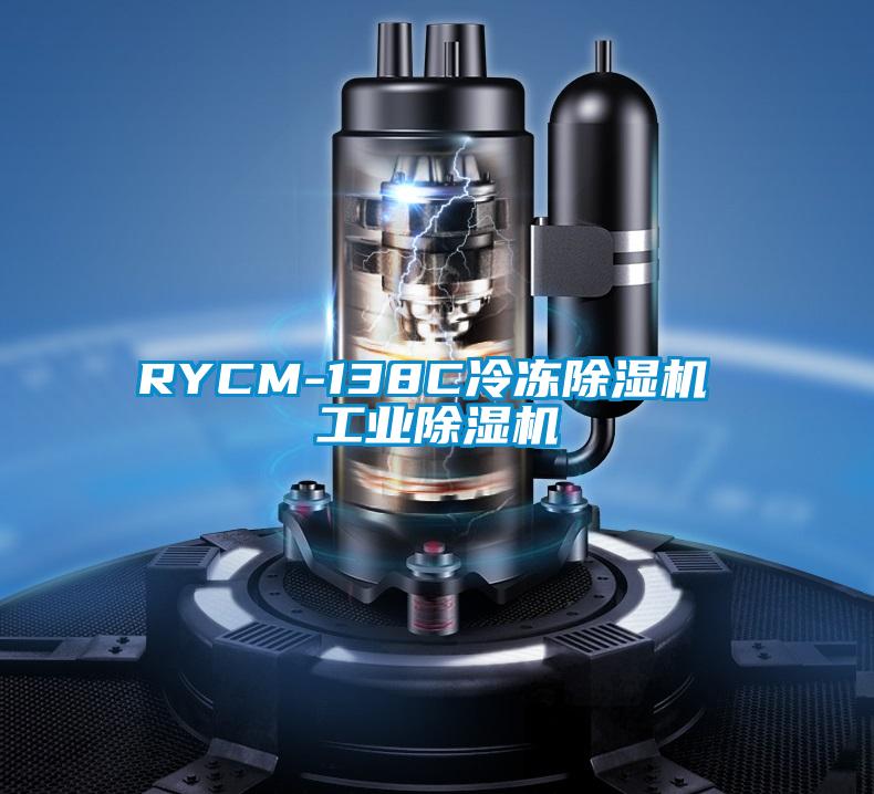 RYCM-138C冷冻除湿机 工业除湿机