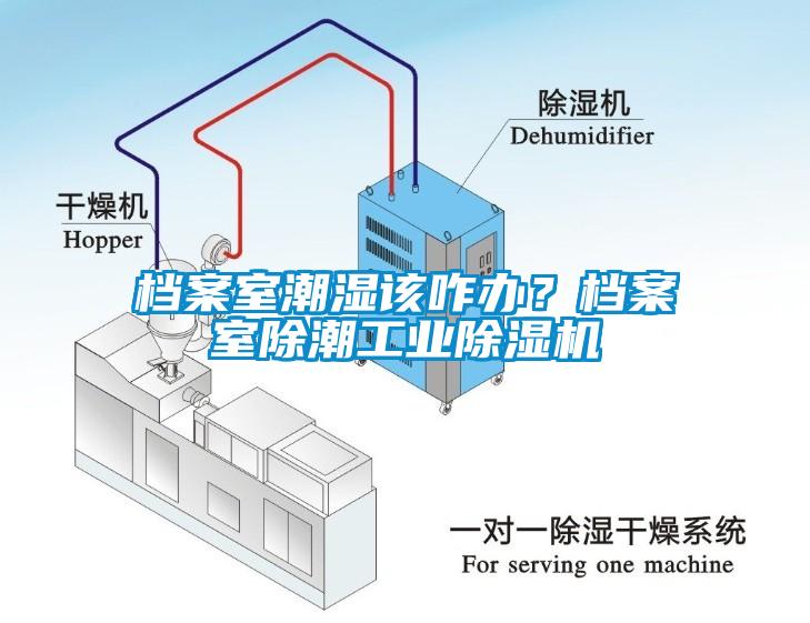 档案室潮湿该咋办？档案室除潮工业除湿机