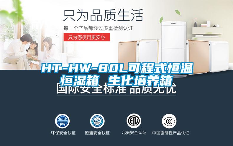 HT-HW-80L可程式恒温恒湿箱 生化培养箱