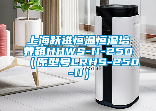 上海跃进恒温恒湿培养箱HHWS-II-250（原型号LRHS-250-II）