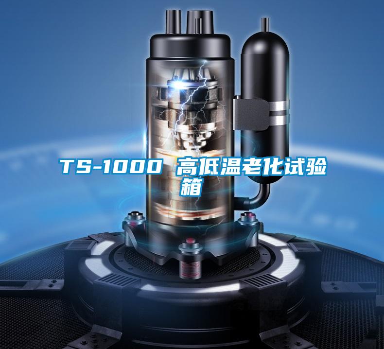 TS-1000 高低温老化试验箱