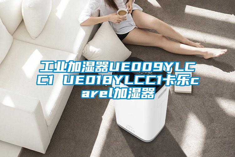 工业加湿器UE009YLCC1 UE018YLCC1卡乐carel加湿器