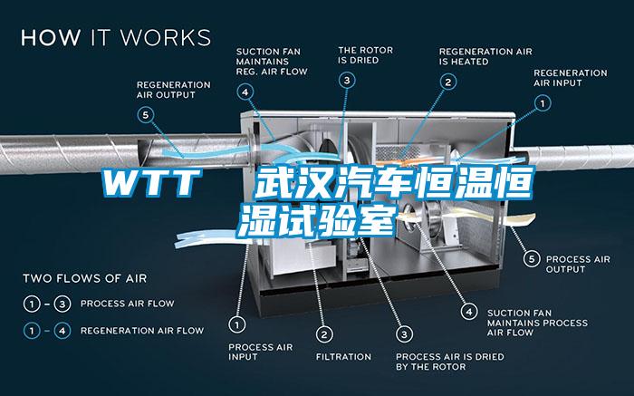 WTT  武汉汽车恒温恒湿试验室