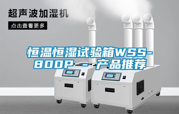 恒温恒湿试验箱WSS-800P - 产品推荐