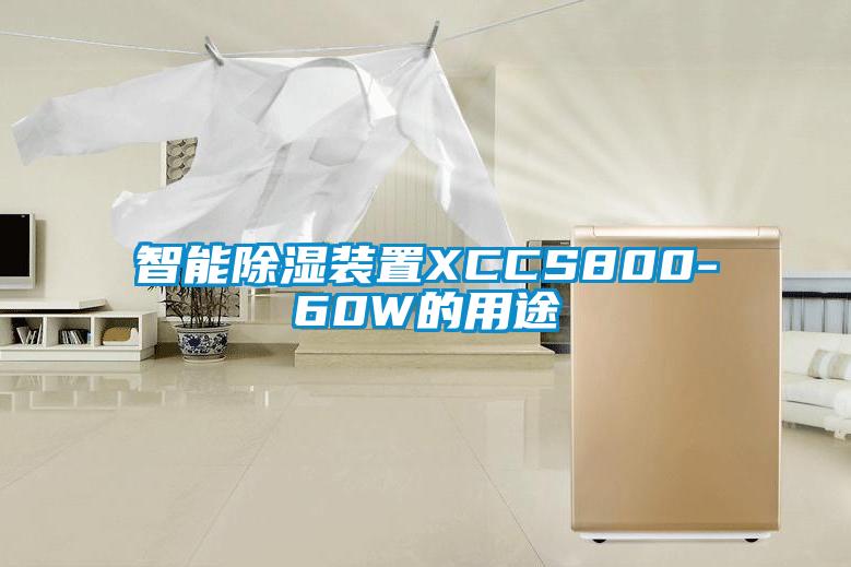 智能除湿装置XCCS800-60W的用途