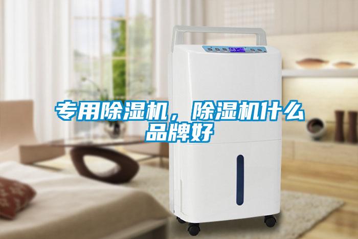 专用除湿机，除湿机什么品牌好