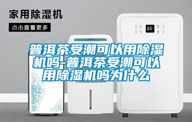 普洱茶受潮可以用除湿机吗-普洱茶受潮可以用除湿机吗为什么