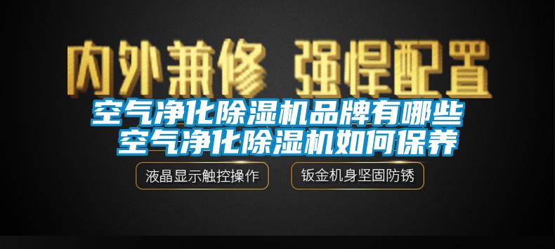 空气净化除湿机品牌有哪些 空气净化除湿机如何保养